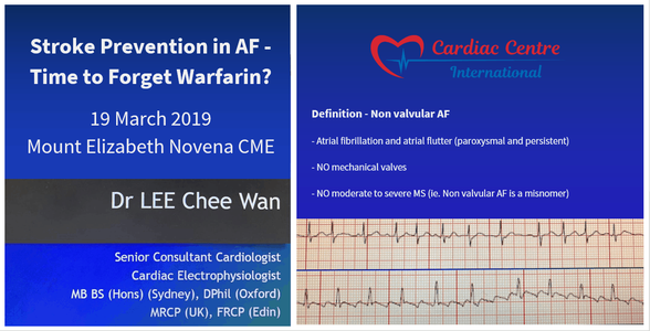 Mount Elizabeth Novena CME: Stroke Prevention in Atrial Fibrillation